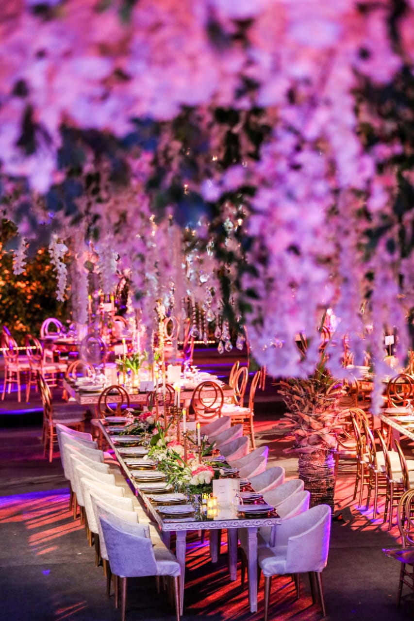 WhatsApp Image 2023-05-15 at 3.46.31 PM